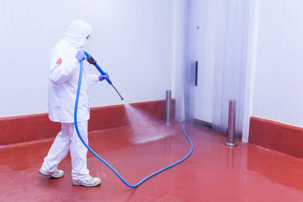 Best Post-Construction Pressure Washing  in Gardnerville Ranchos, NV