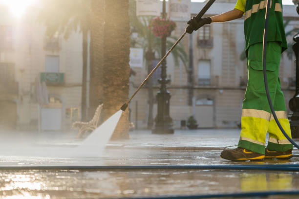 Best Residential Exterior Washing  in Gardnerville Ranchos, NV